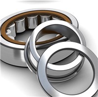 NU1005 SKF Cylindrical Roller Bearing