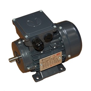 1.5kw Single Phase 2Pole Cap/Cap TECA Foot(90)