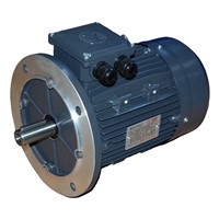5.5kw 4Pole B5 TECA HO TEC Flange Motor 112M4C-TECA