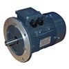 0.06kw 4Pole B5 TECA TEC Flange Motor 56M4A-TECA 0.06kw 4Pole B5 TECA TEC Flange Motor 56M4A-TECA
