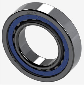 NU228 EMA MTK Cylindrical Roller Bearings