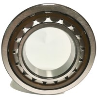 NJ320 ECM/C4VA301 SKF single row with axial displacement in one direct