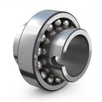 11204 TN9 SKF self-aligning ball bearing