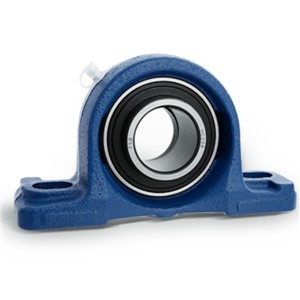 UCP204 FS Two Bolt Pillow Block Bearing Unit